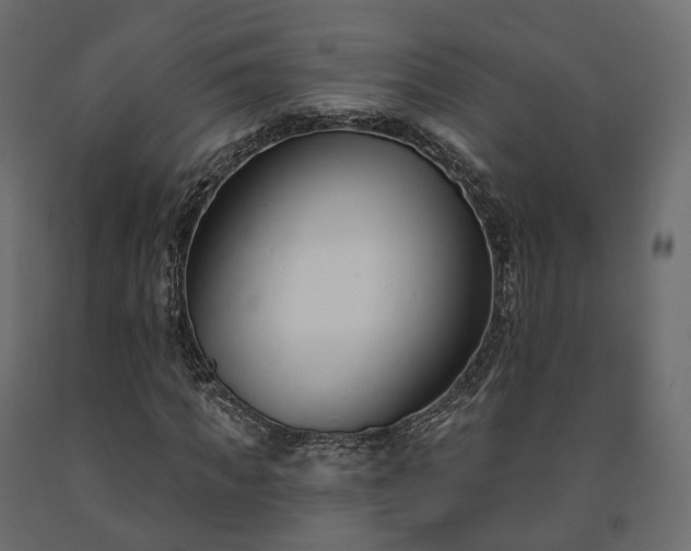 X0000091560917200708241812