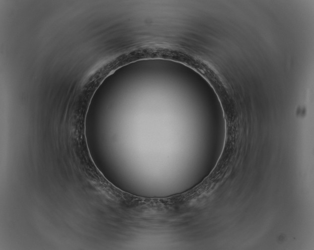 X0000091560919200708241812