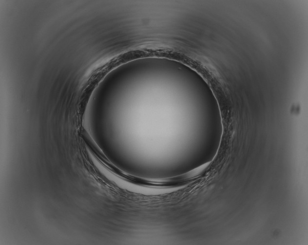 X0000091560920200708241812