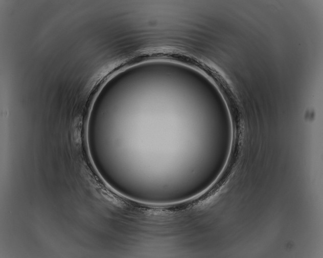 X0000091560921200708241812