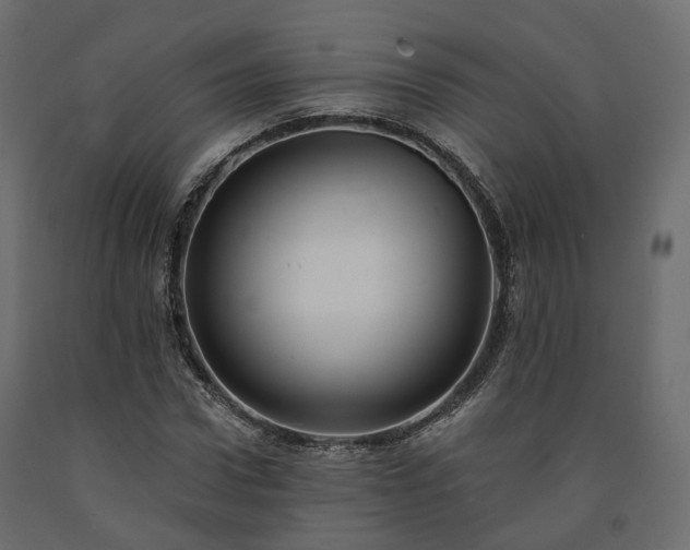 X0000091560922200708241812