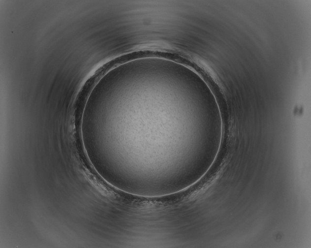 X0000091560923200708241812