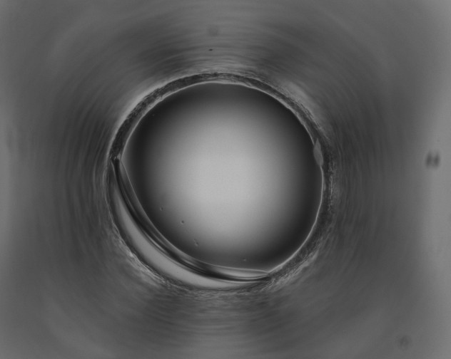 X0000091560924200708241812