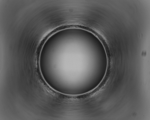 X0000091560925200708241812