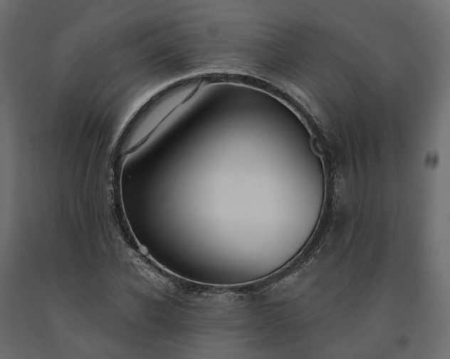 X0000091560926200708241812