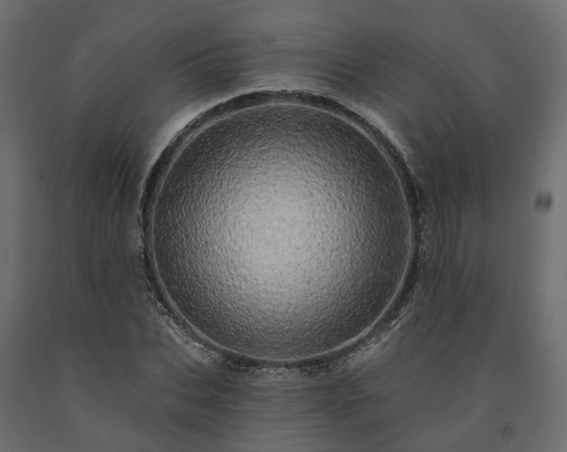 X0000091560927200708241812