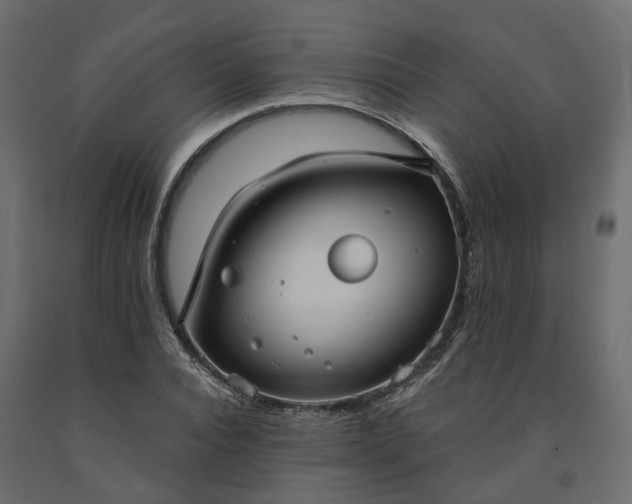 X0000091560928200708241812