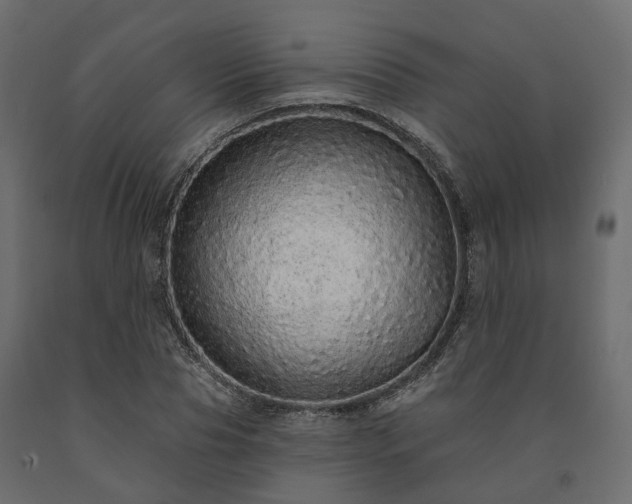 X0000091560929200708241812