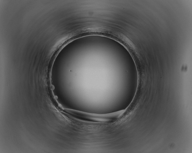 X0000091560930200708241812