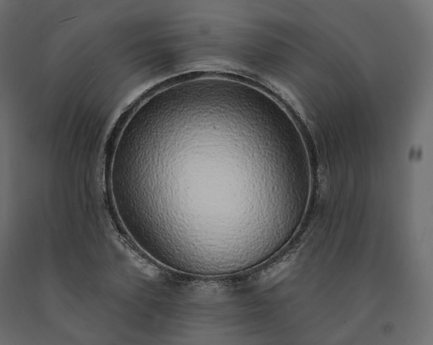 X0000091560931200708241812