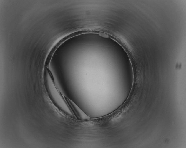 X0000091560932200708241812