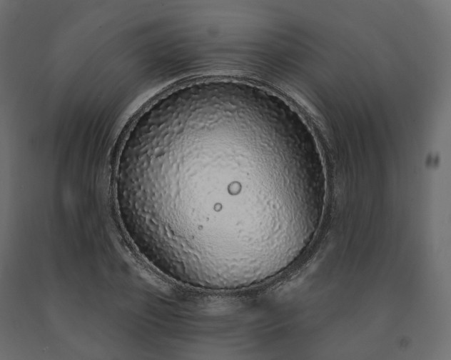 X0000091560933200708241812