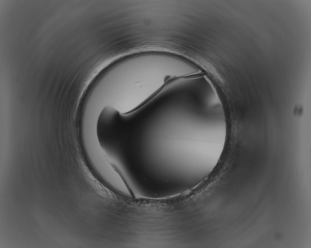 X0000091560934200708241812