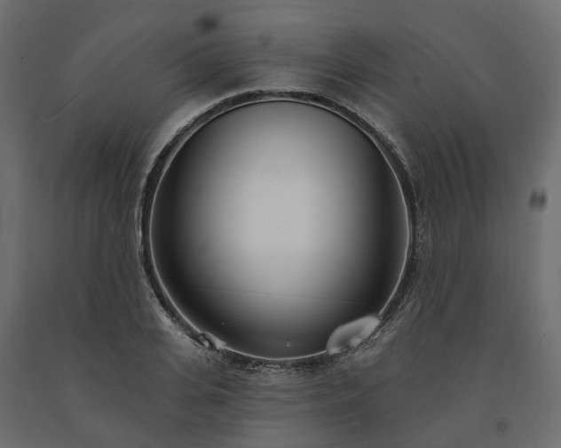 X0000091560935200708241813