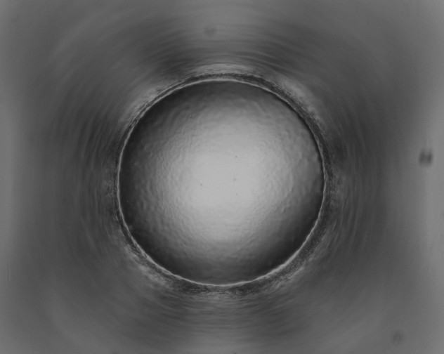 X0000091560937200708241813