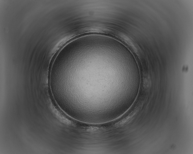 X0000091560938200708241813