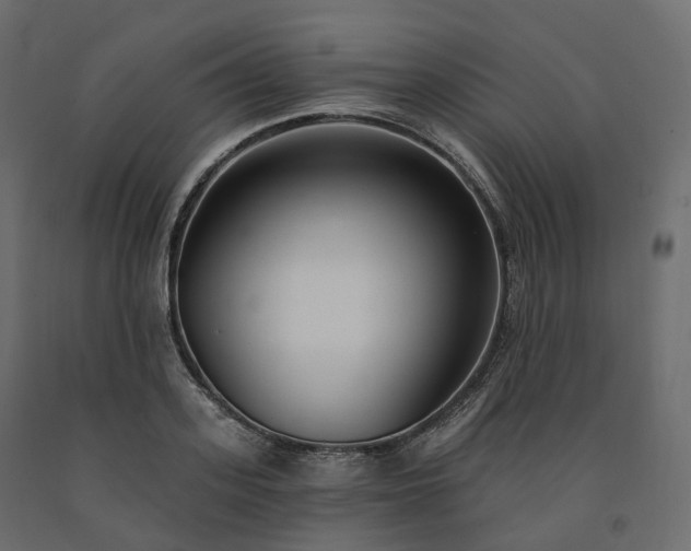 X0000091560939200708241813