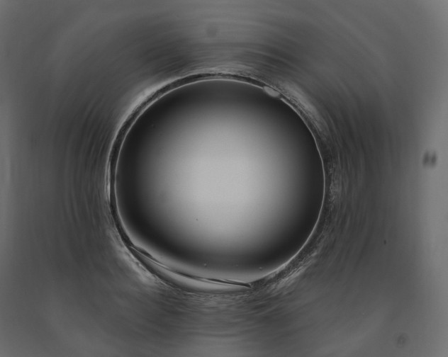 X0000091560940200708241813