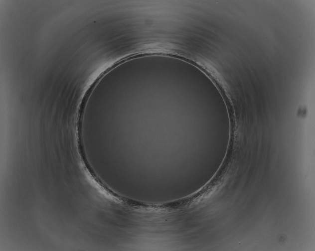 X0000091560941200708241813