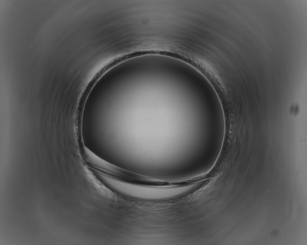 X0000091560942200708241813