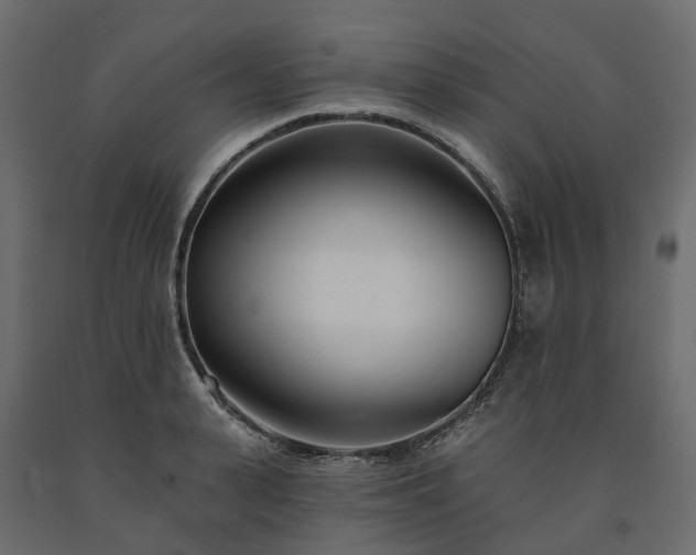 X0000091560943200708241813