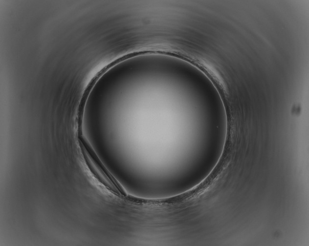 X0000091560944200708241813