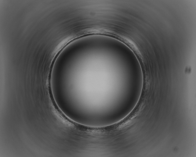 X0000091560946200708241813