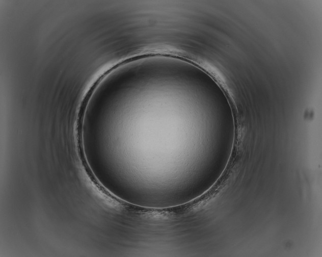 X0000091560947200708241813