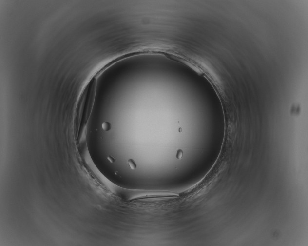 X0000091560948200708241813