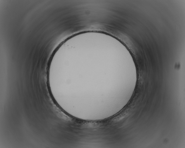 X0000091560950200708241813