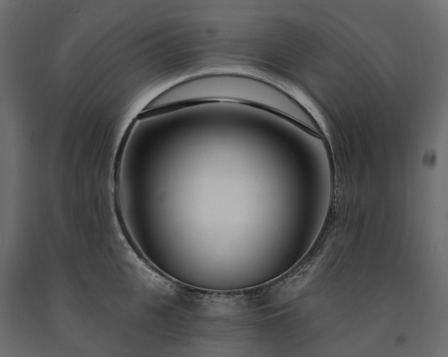 X0000091560951200708241813