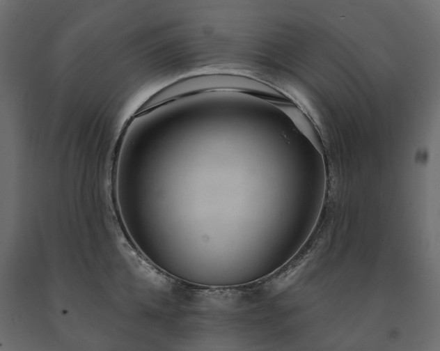 X0000091560952200708241813