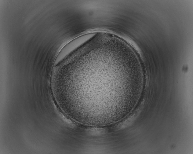 X0000091560953200708241813