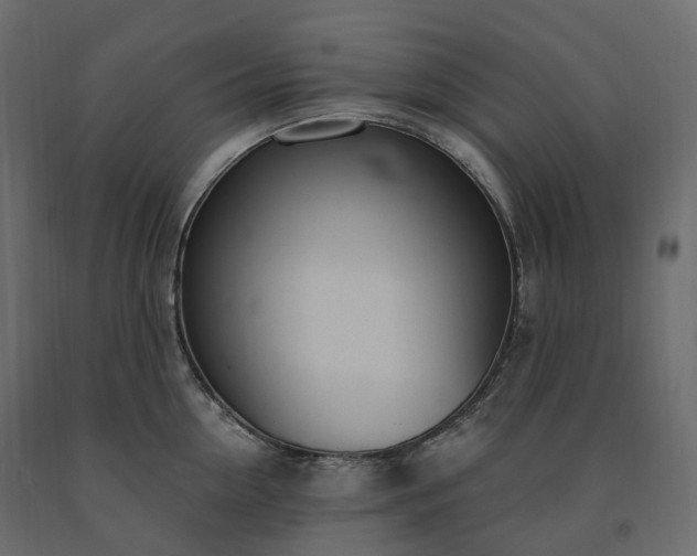 X0000091560954200708241813