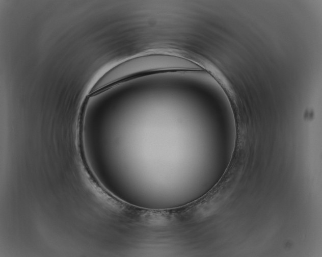 X0000091560955200708241813