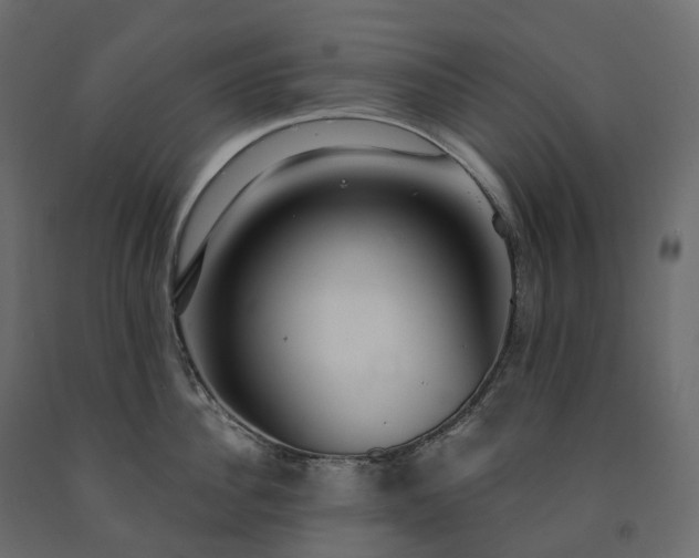 X0000091560956200708241813