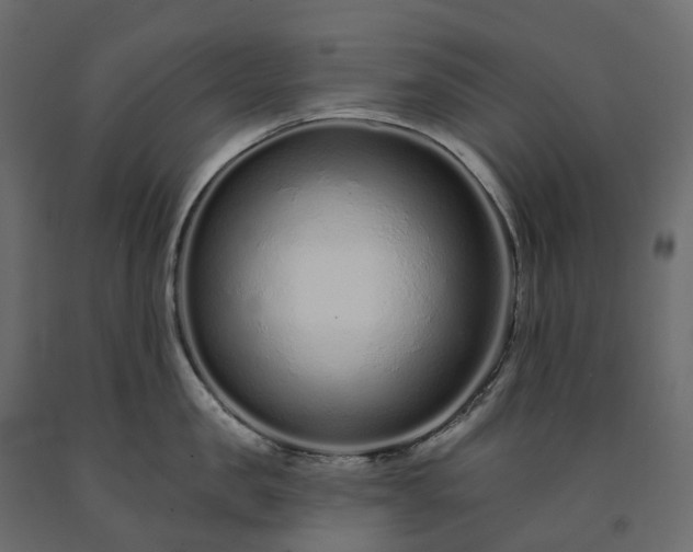 X0000091560957200708241813