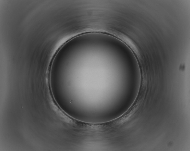 X0000091560958200708241813