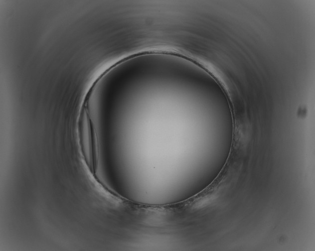 X0000091560959200708241813