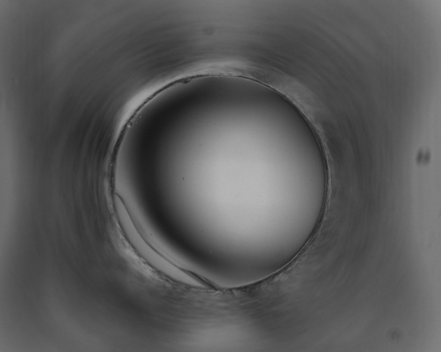 X0000091560960200708241813