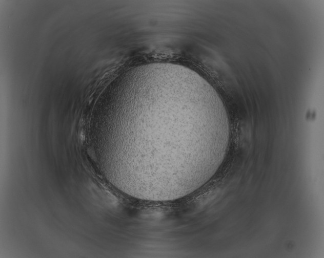 X0000091560962200708241812