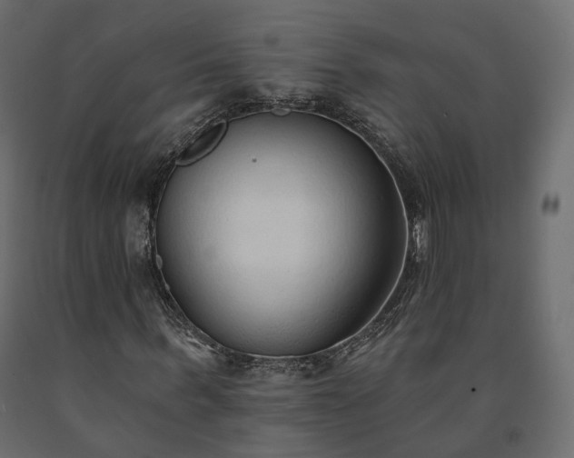 X0000091560963200708241812