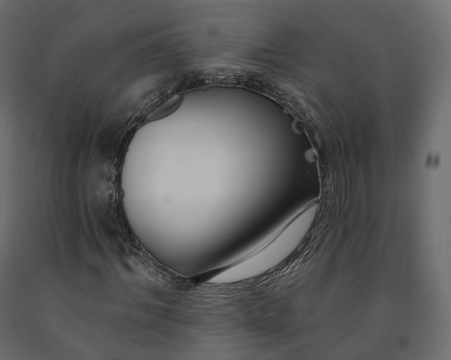 X0000091560964200708241812