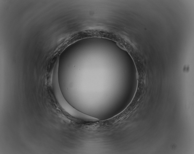 X0000091560965200708241812