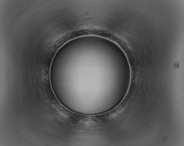 X0000091560966200708241812