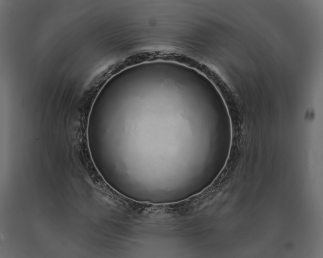 X0000091560967200708241812