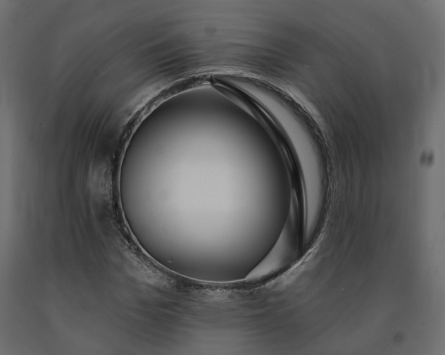 X0000091560969200708241812