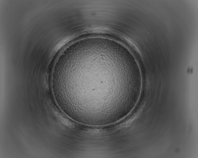 X0000091560970200708241812