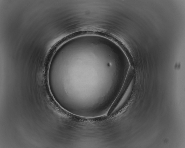 X0000091560971200708241812