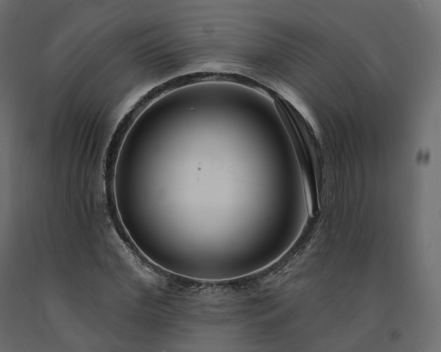 X0000091560972200708241812